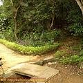 P1060791.jpg