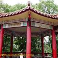 P1130207