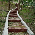 P1130214