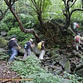 P1190286