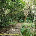 P1230943