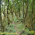 P1230978