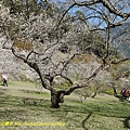 P1240562