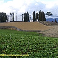 P1260319