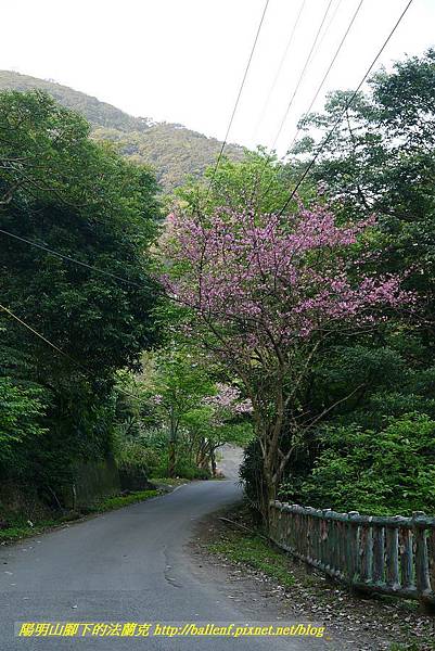 P1290962-2 P1290962-2