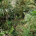 P1290408