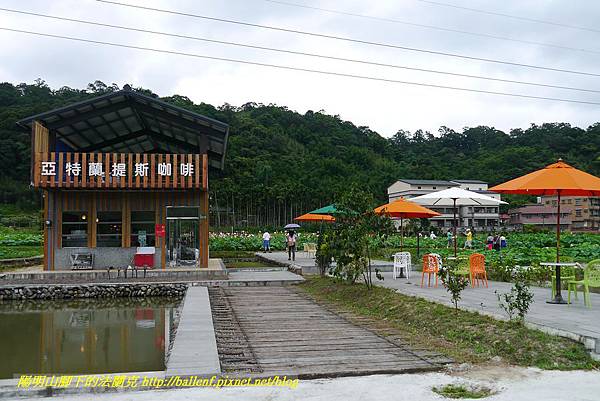 P1360560.jpg P1360560.jpg