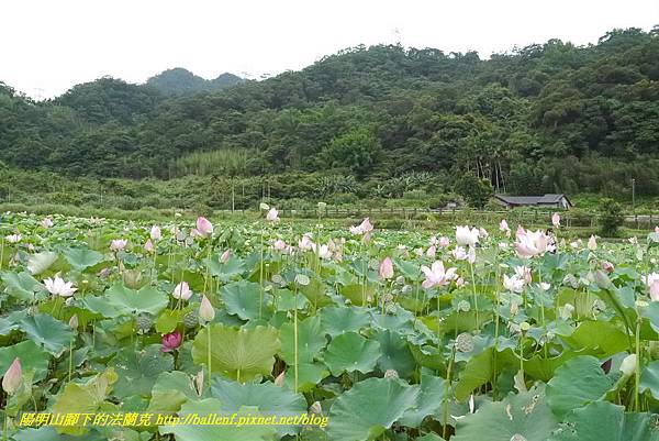 P1360563.jpg P1360563.jpg