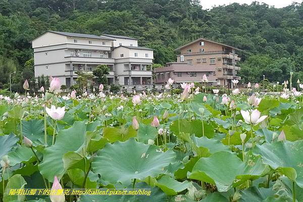 P1360565.jpg P1360565.jpg