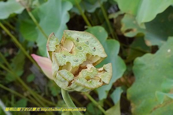 P1360566.jpg P1360566.jpg