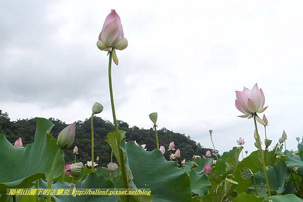 P1360567.jpg P1360567.jpg