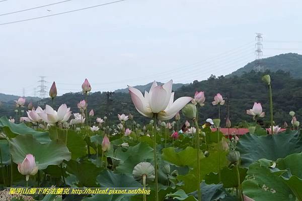 P1360568.jpg P1360568.jpg