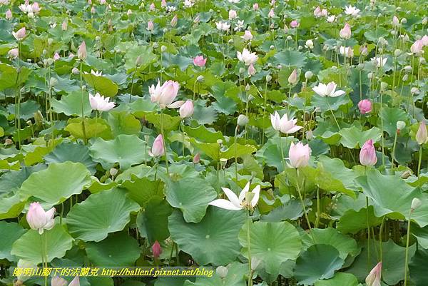 P1360570.jpg P1360570.jpg