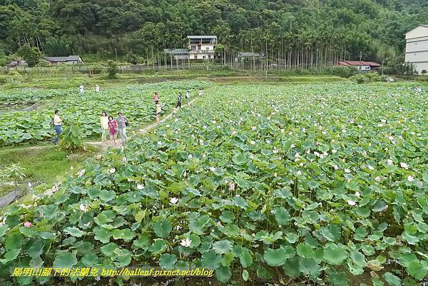 P1360572.jpg P1360572.jpg