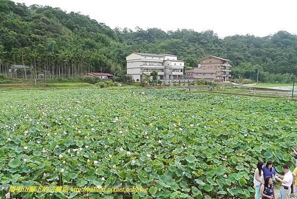 P1360573.jpg P1360573.jpg