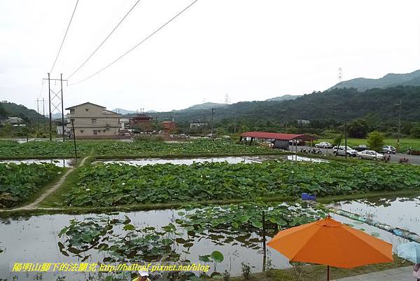 P1360575.jpg P1360575.jpg