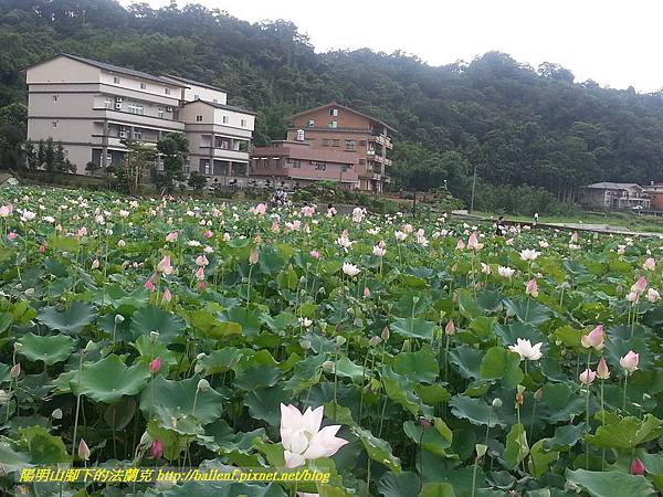 P1360576.jpg P1360576.jpg