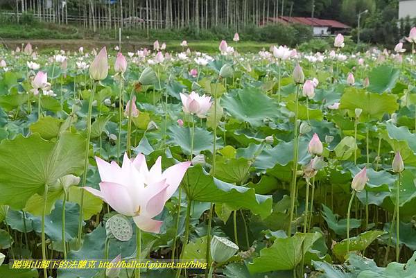 P1360578.jpg P1360578.jpg