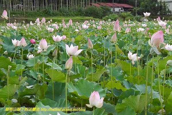 P1360579.jpg P1360579.jpg