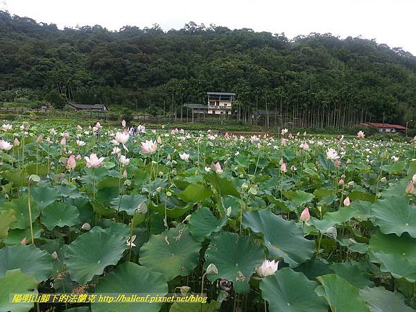 P1360580-1.jpg P1360580-1.jpg