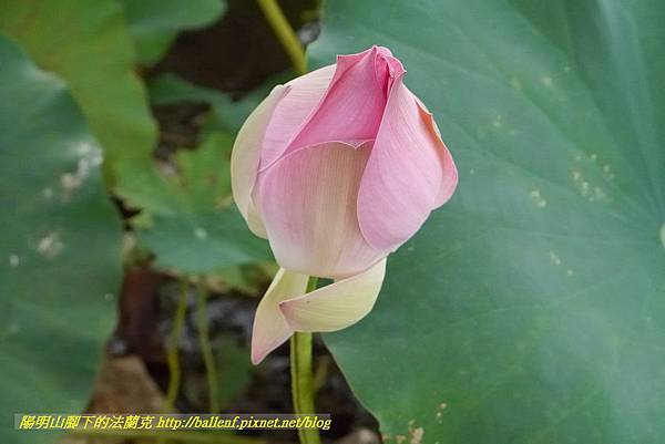 P1360582.jpg P1360582.jpg