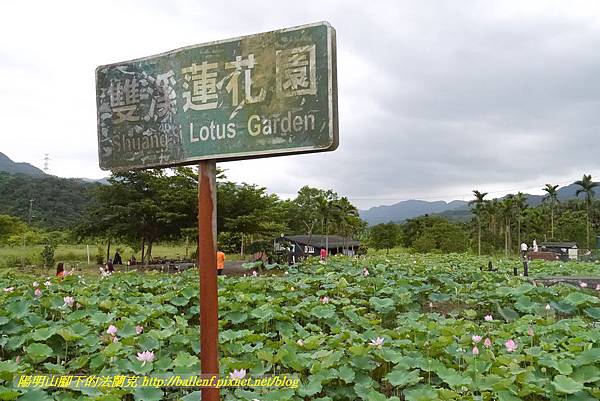 P1360586.jpg P1360586.jpg