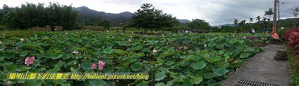 P1360586-1.jpg P1360586-1.jpg