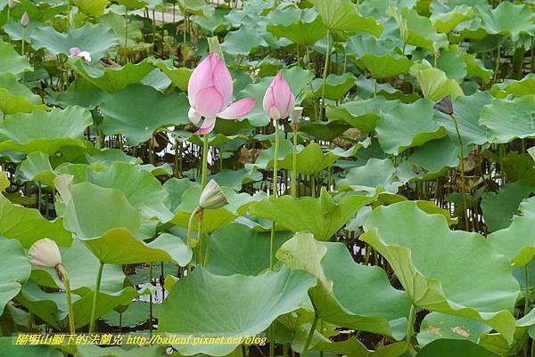 P1360588.jpg P1360588.jpg