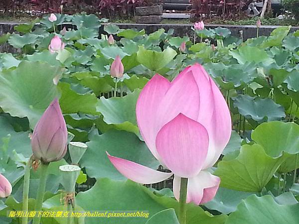 P1360588-1.jpg P1360588-1.jpg