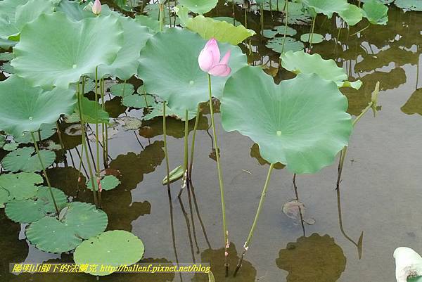 P1360591.jpg P1360591.jpg