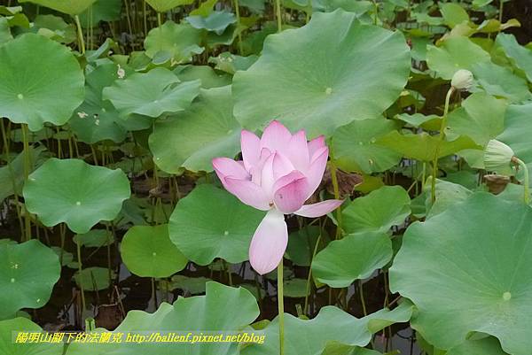 P1360592.jpg P1360592.jpg