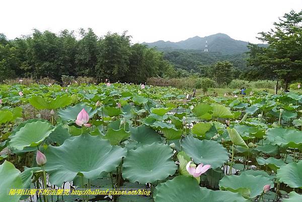 P1360593.jpg P1360593.jpg