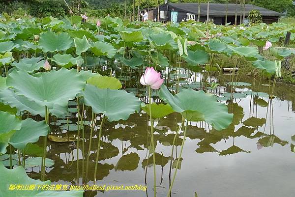 P1360595.jpg P1360595.jpg