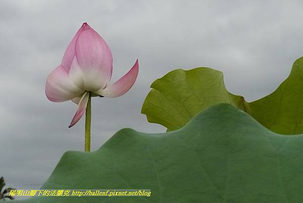 P1360598.jpg P1360598.jpg