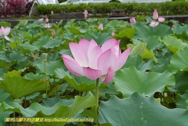 P1360599.jpg P1360599.jpg