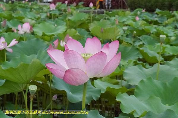 P1360600.jpg P1360600.jpg