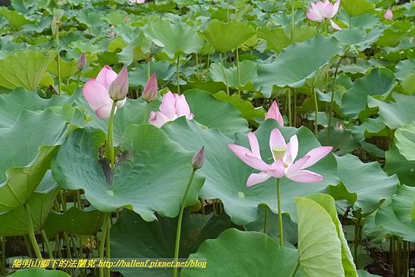 P1360601.jpg P1360601.jpg