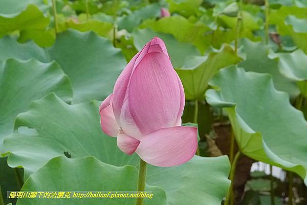 P1360603.jpg P1360603.jpg