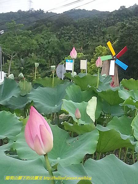 P1360603-2.jpg P1360603-2.jpg