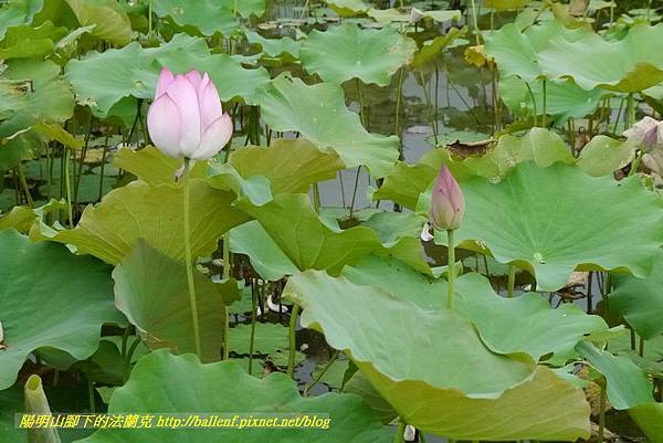 P1360604.jpg P1360604.jpg