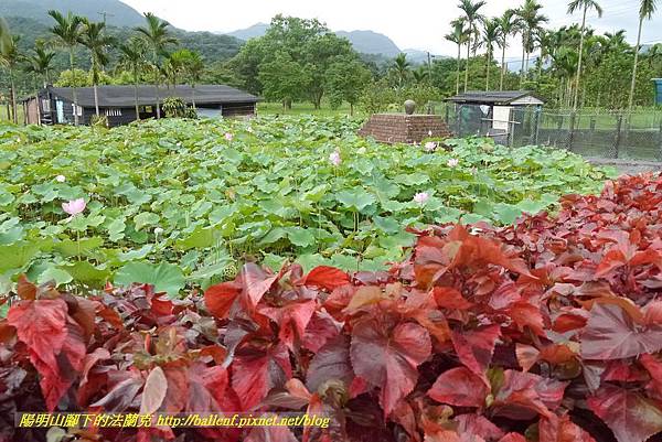 P1360605.jpg P1360605.jpg