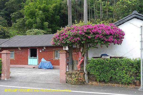 P1360607.jpg P1360607.jpg