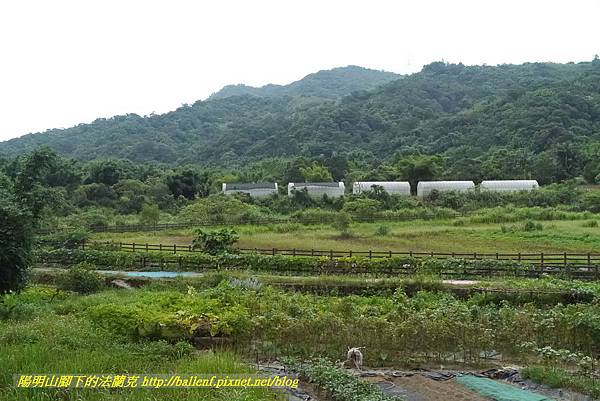 P1360622.jpg P1360622.jpg