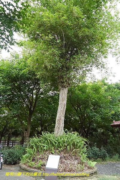 P1360627.jpg P1360627.jpg