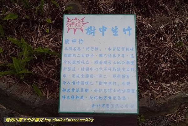 P1360628.jpg P1360628.jpg