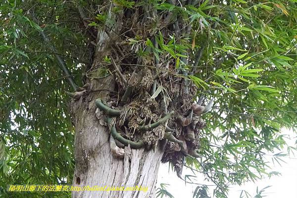 P1360629.jpg P1360629.jpg