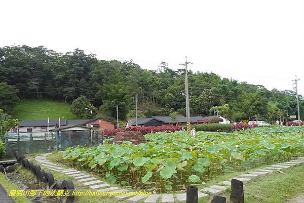 P1360635.jpg P1360635.jpg