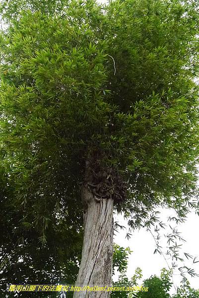 P1360630.jpg P1360630.jpg