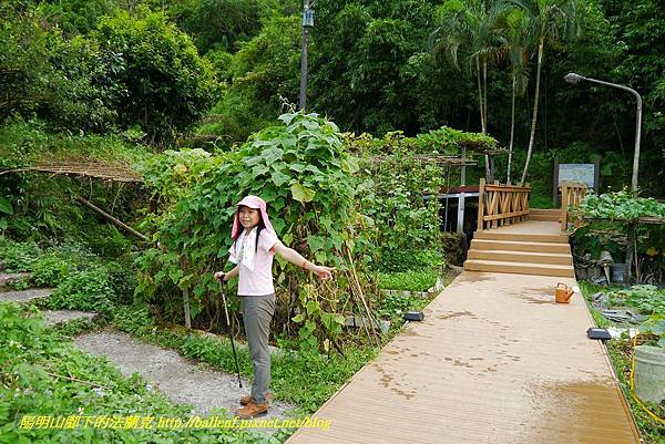 P1360647.jpg P1360647.jpg