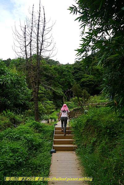 P1360649.jpg P1360649.jpg